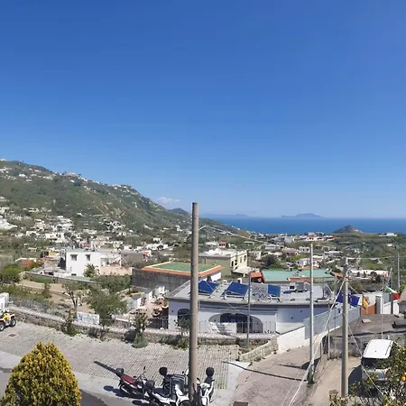 アパートホテル Mareluna Ischia Forio di Ischia